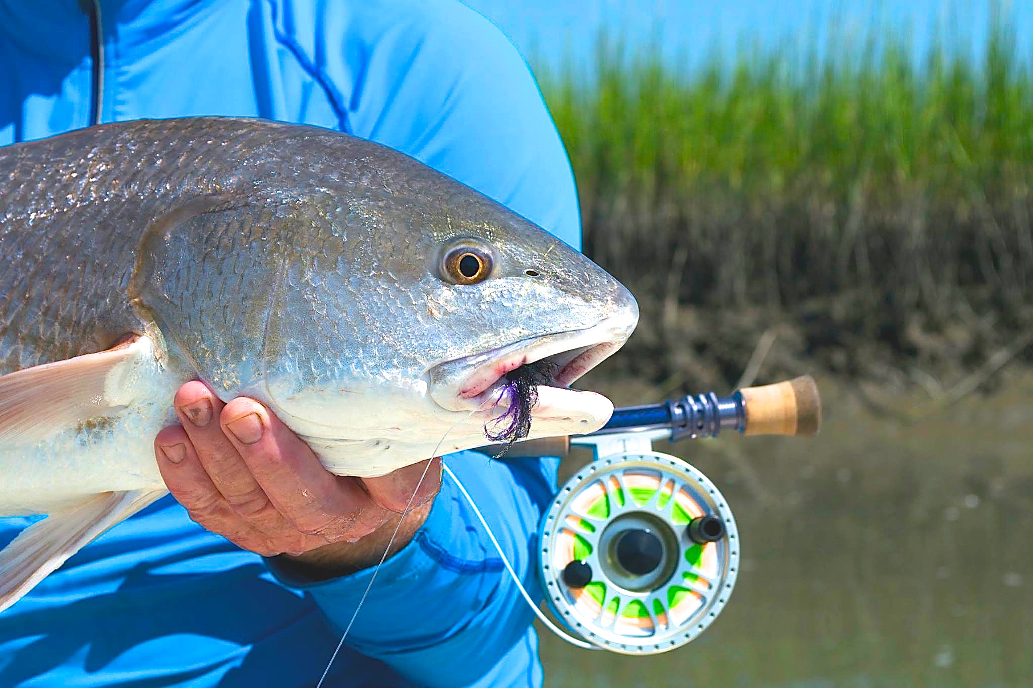 drum reel fishing Double Brake Metal Deep Sea Boat Fishing Sea Fishing Anchor Fish Fishing Reel Fishing Outdoor Fishing Gear : Sports & Outdoors Mounts to front stabilizer bushing. When you stumble upon a