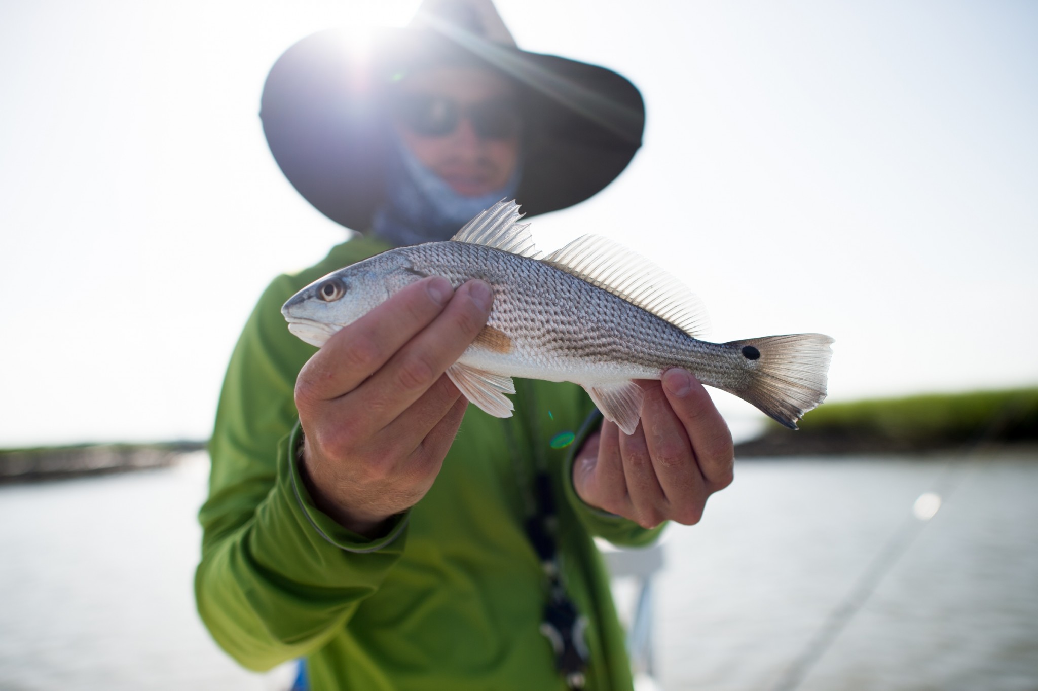 Bắt và thả câu cá - RedfishBắt và thả câu cá - Redfish  