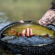 Craig MT - Rainbow trout
