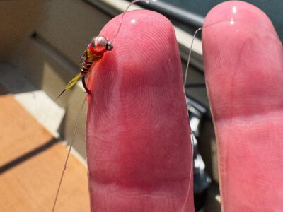 Why We Fishing Barbless HOoks