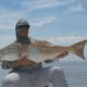 pawleys island fishing reports