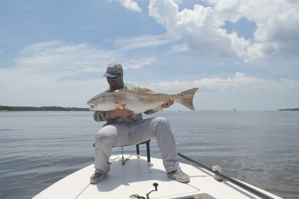 Huge Redfish