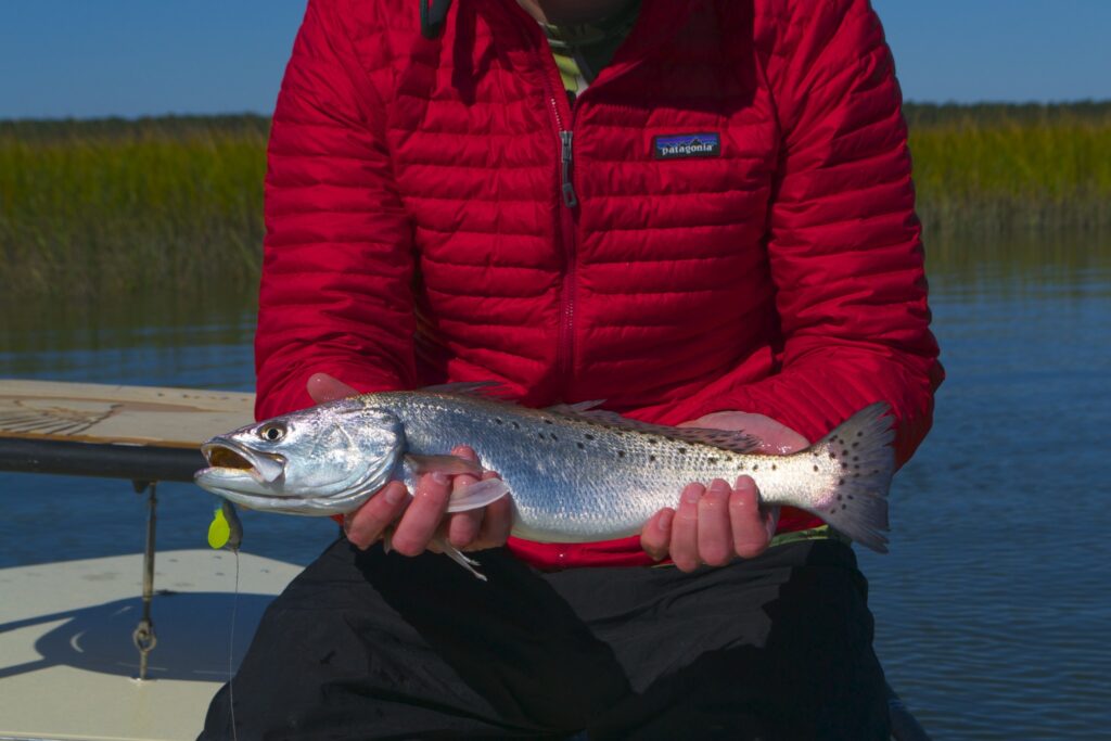 speckled Sea trout- fishing