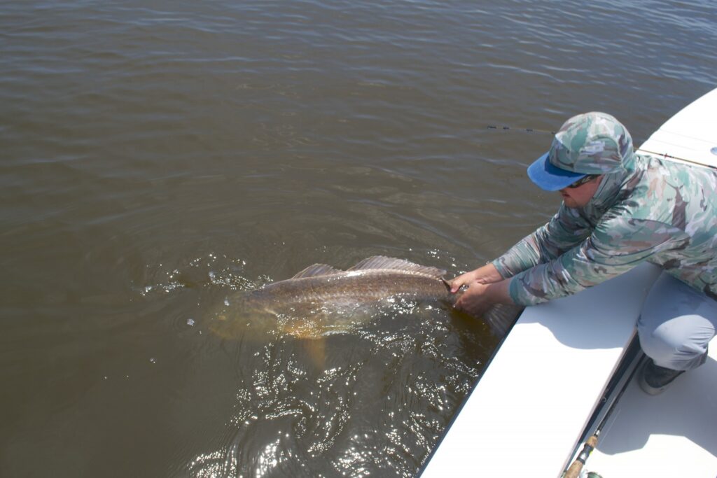 Pawleys Island Fishing Reports - Summer Fishing, Sea Trout