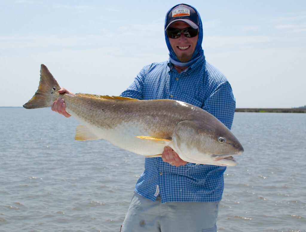 Fall Fishing - Bull Drum