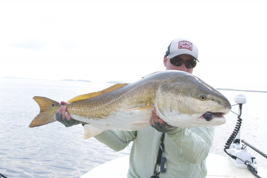 Summer Fishing Charters Pawleys Island