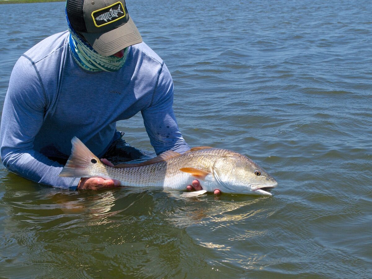Catch and Release Fishing Redfish Speckled Sea Trout Flounder