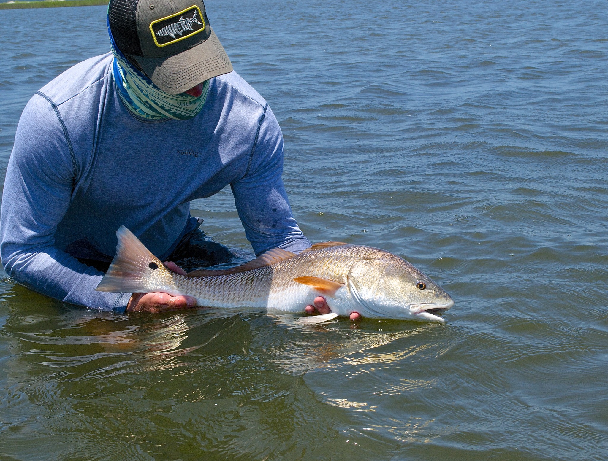 Catch and Release Fishing - Redfish, Speckled Sea Trout