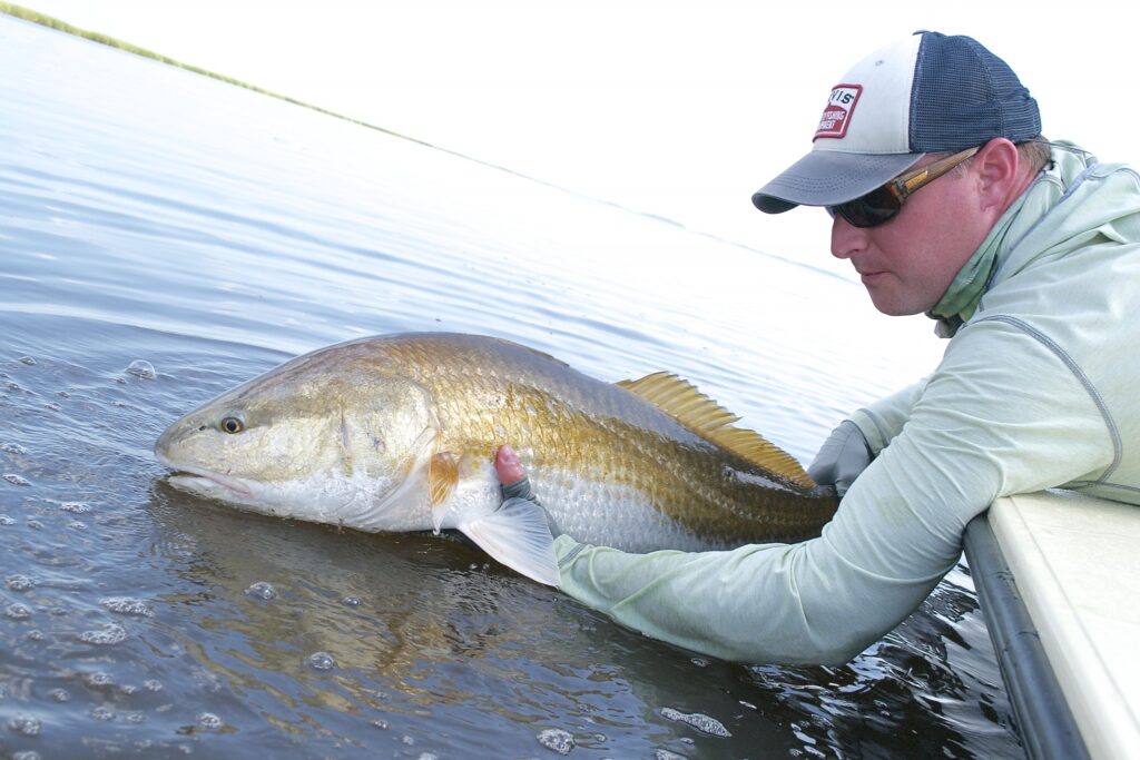 South Carolina Redfish - Fishing Charters for Redfish with Capt Jeff Lattig