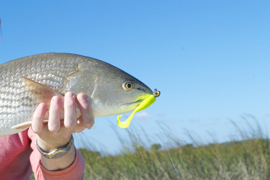 pawleys island fishing