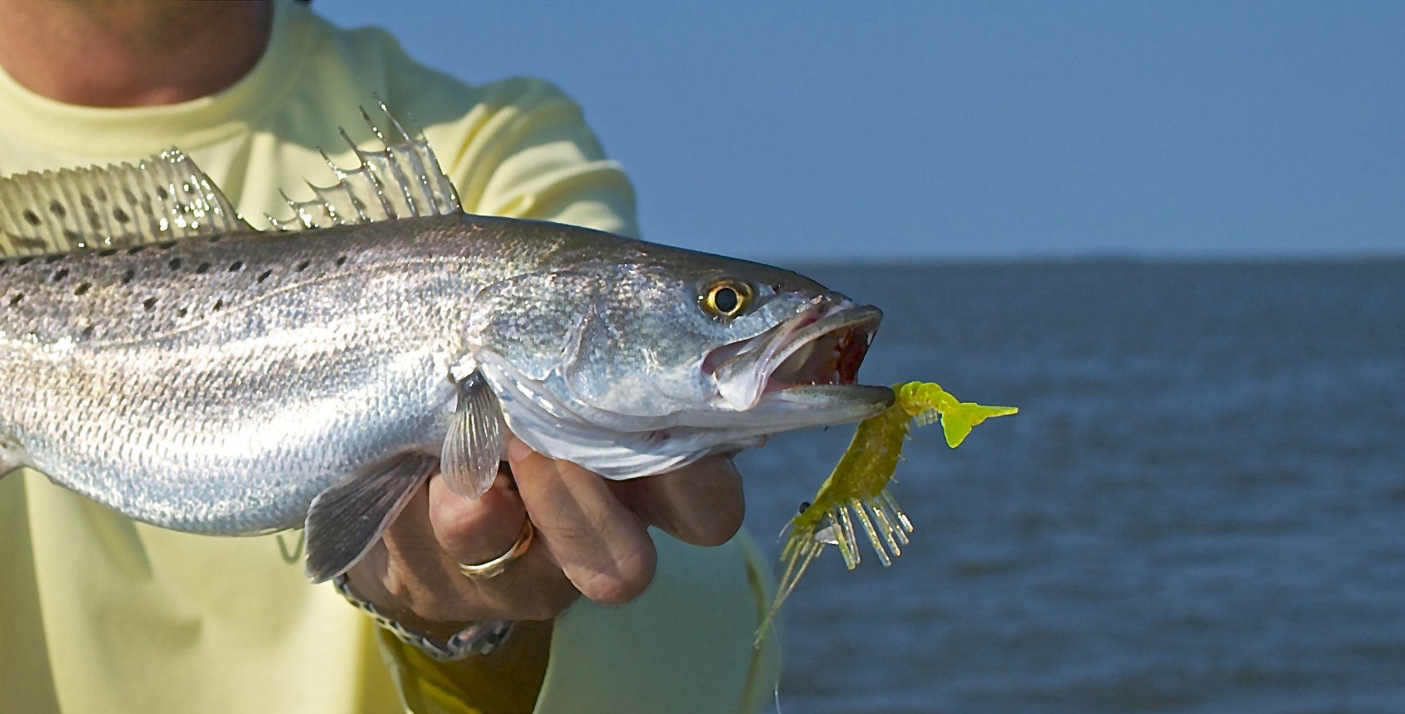 Speckled Sea Trout Fishing - Fly and Light Tackle Fishing for Sea Trout