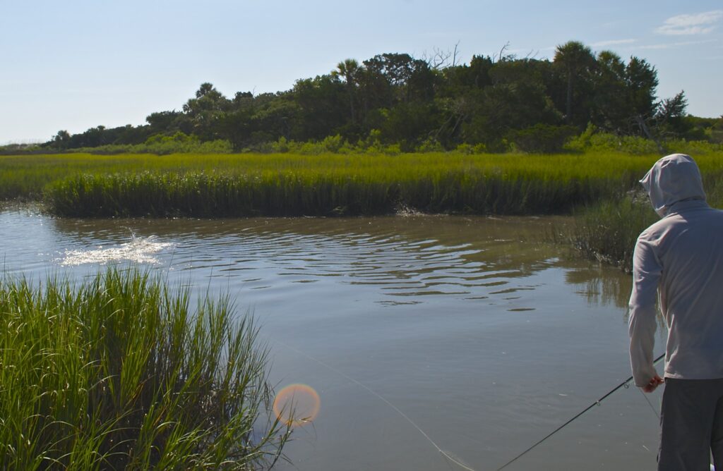 schooling redfish-Fishing report Georgetown South Carolina 