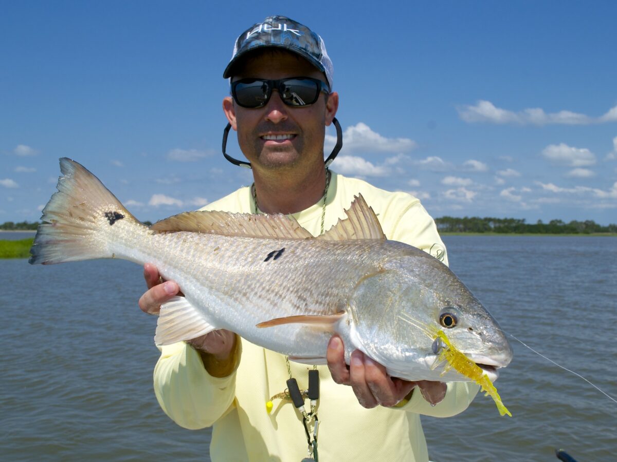 South Carolina Redfish - Redfish with Capt Jeff Lattig