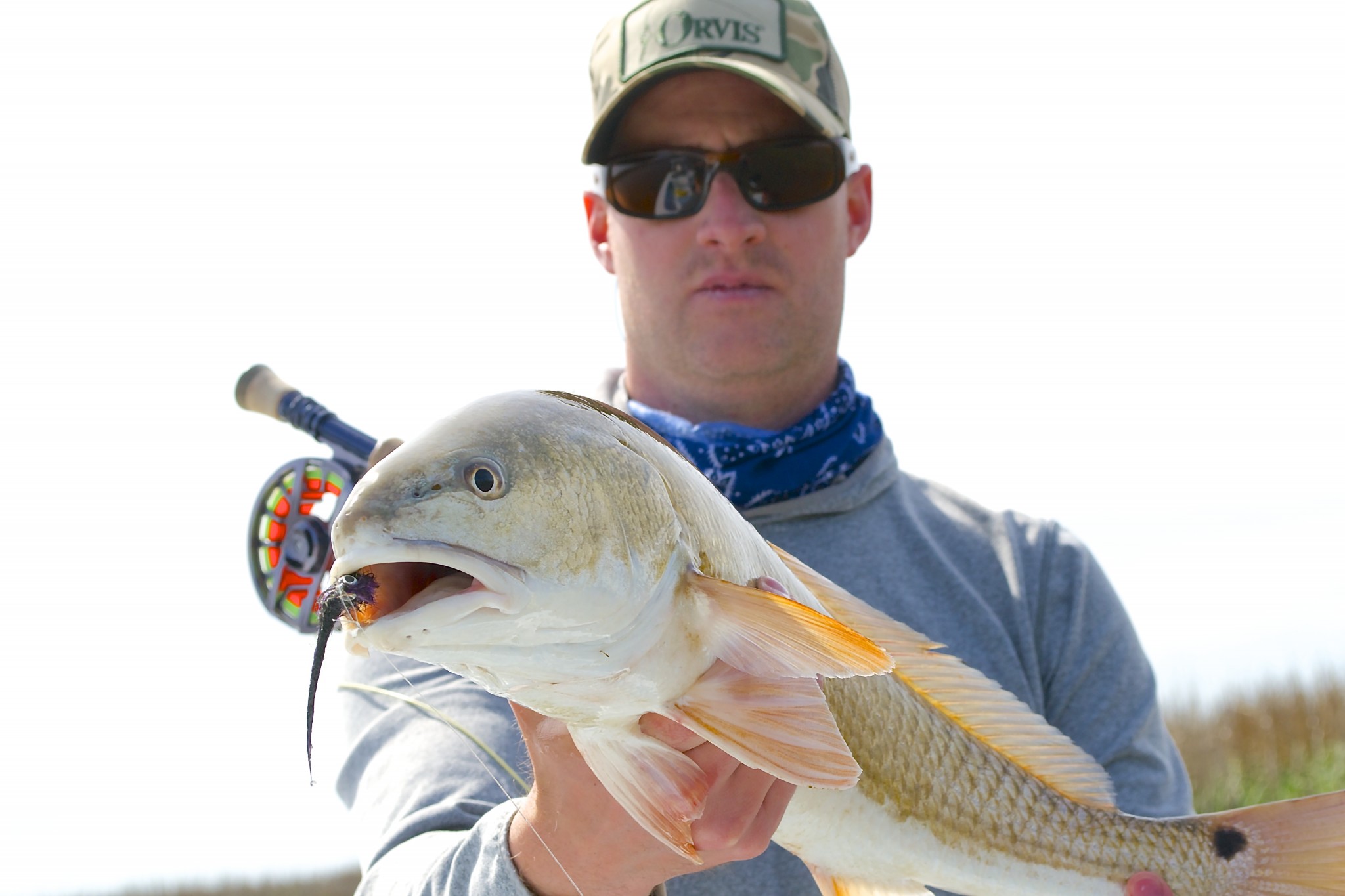 South Carolina Redfish - Fishing Charters for Redfish with Capt Jeff Lattig