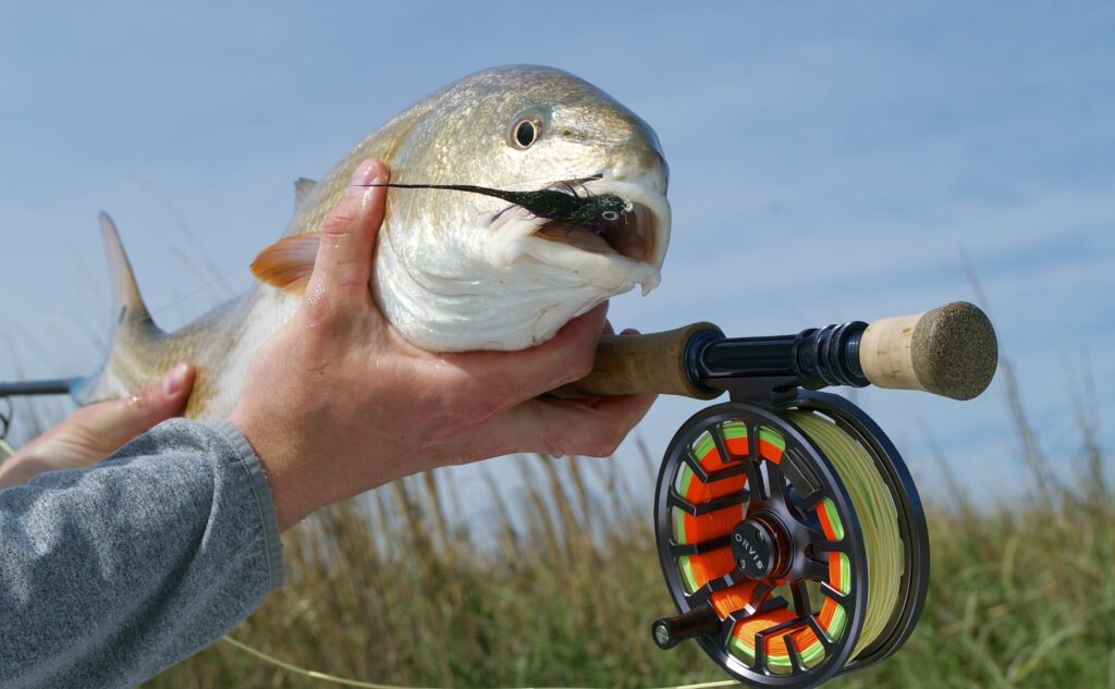 fly fishing pawleys island