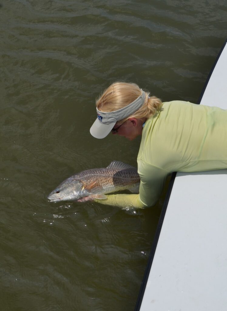 georgetown redfish