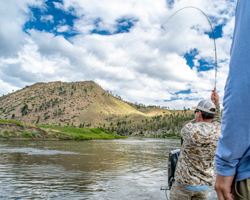 Dry fly fishing the Land of Giants