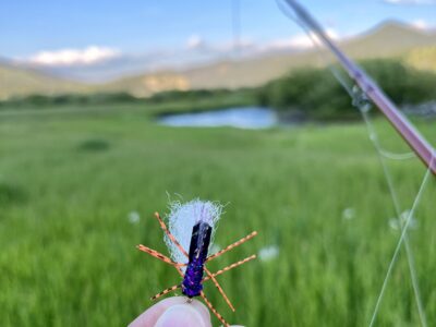 Dry fly fishing the MIssouri River
