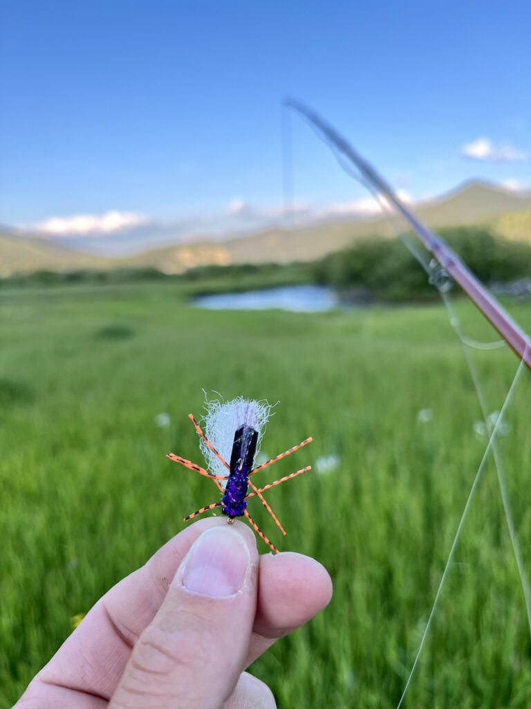Dry fly fishing the MIssouri River