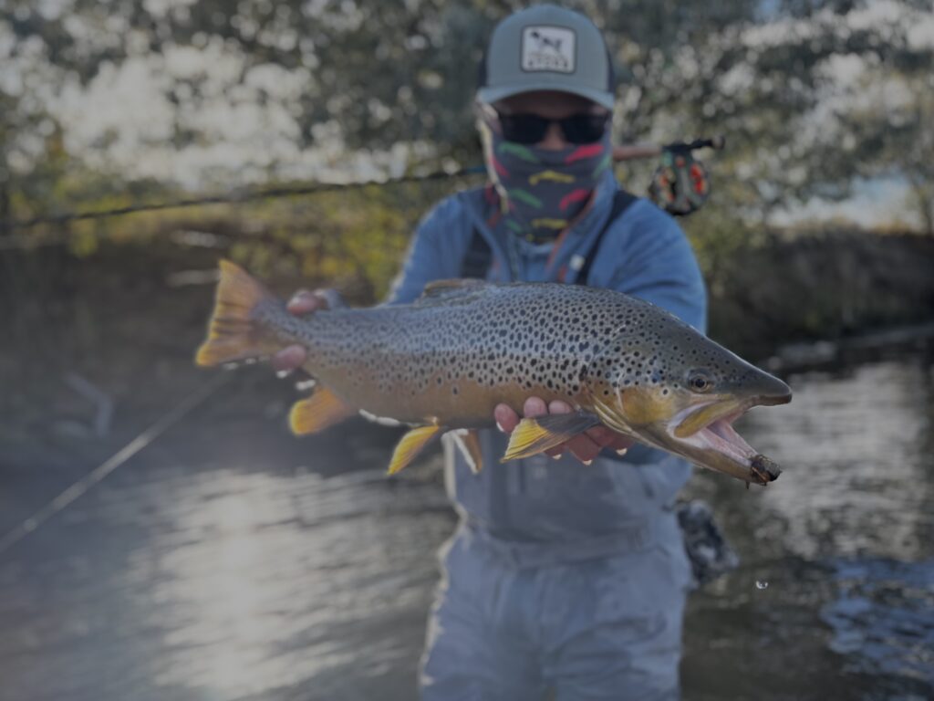 streamer fishing the land of giants
