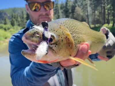 cut throat trout on the Blackfoot