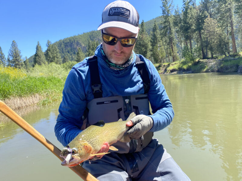 Blackfoot river cut throat