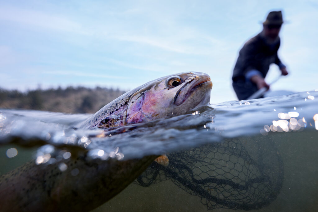 Fly fishing the MIssouri River