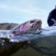 Fly fishing the MIssouri River