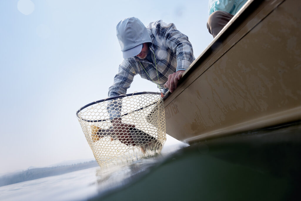 Fly fishing the land of giants - holter lake