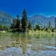 Fly Fishing Montana