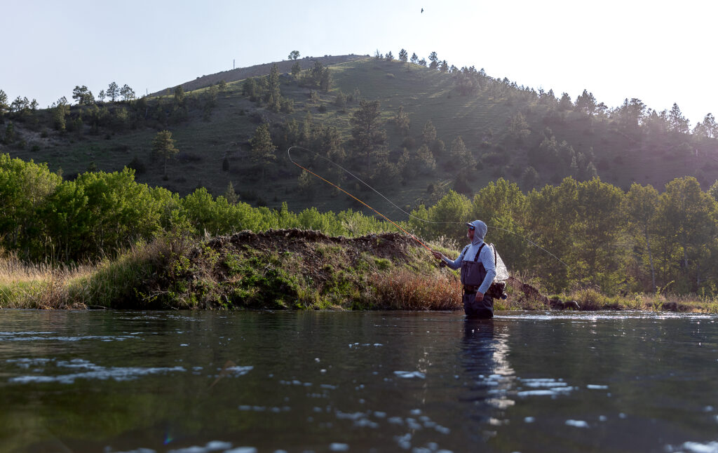 fly fishing spring creeks in Montana