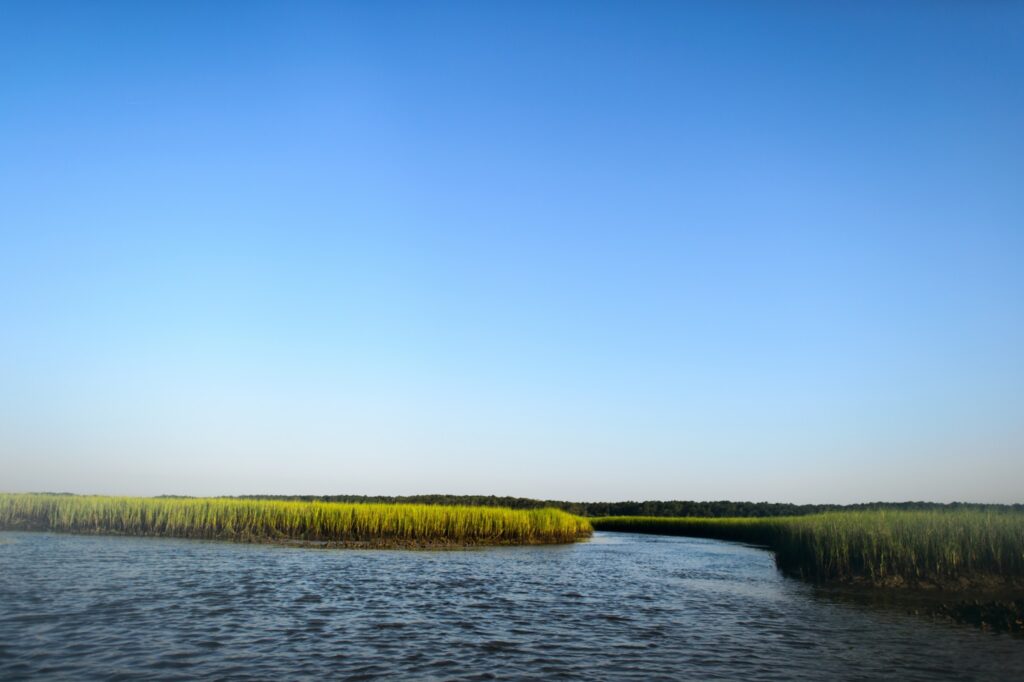 Fishing Murrells Inlet South Carolina - salt marsh 