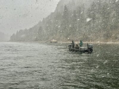 Land of giants fishing report - April