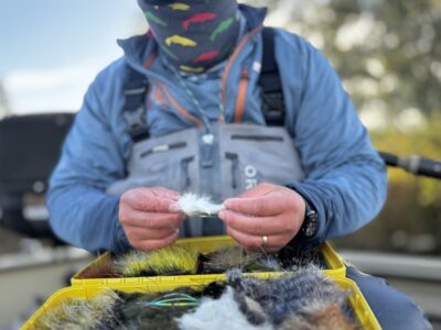 Land of the Giants - Montana