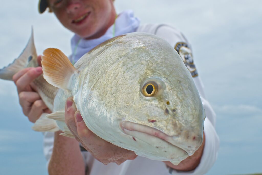  fishing charter-Pawleys Island Fishing Report