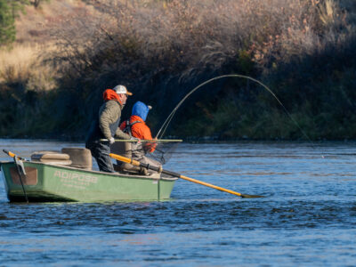 Head hunting for trout - missouri river