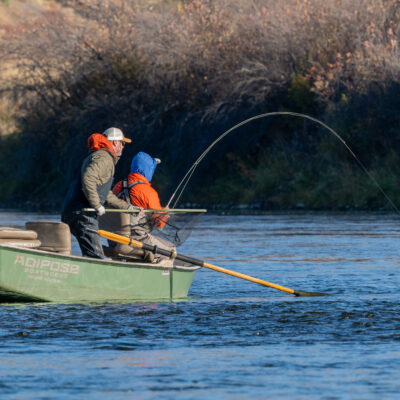 Head hunting for trout - missouri river