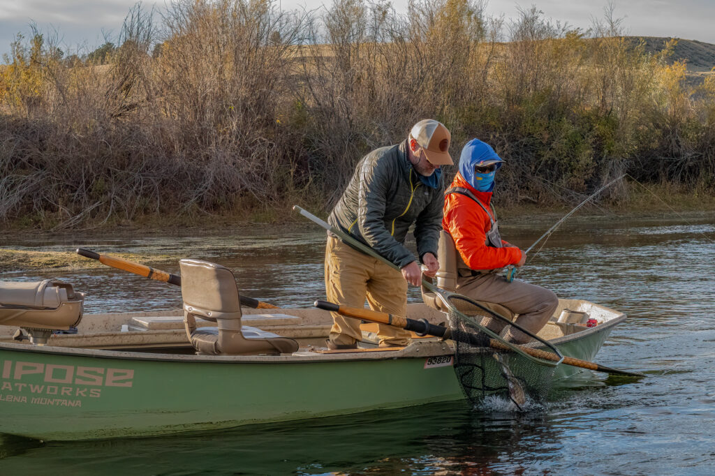 Fall Fishing below Holter Dam - Missouri River