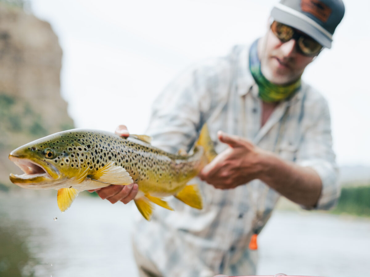 Fly Fishing Craig Montana | Missouri River Guides & Float Trips