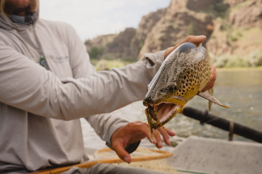 Montana-Missouri River 
