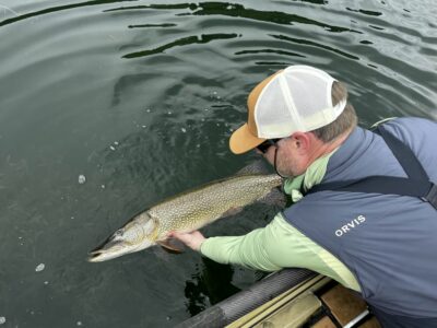 Guided Northern Pike trips - Helena Montana