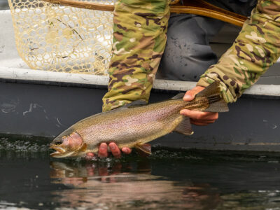 Missouri River fishing report - April