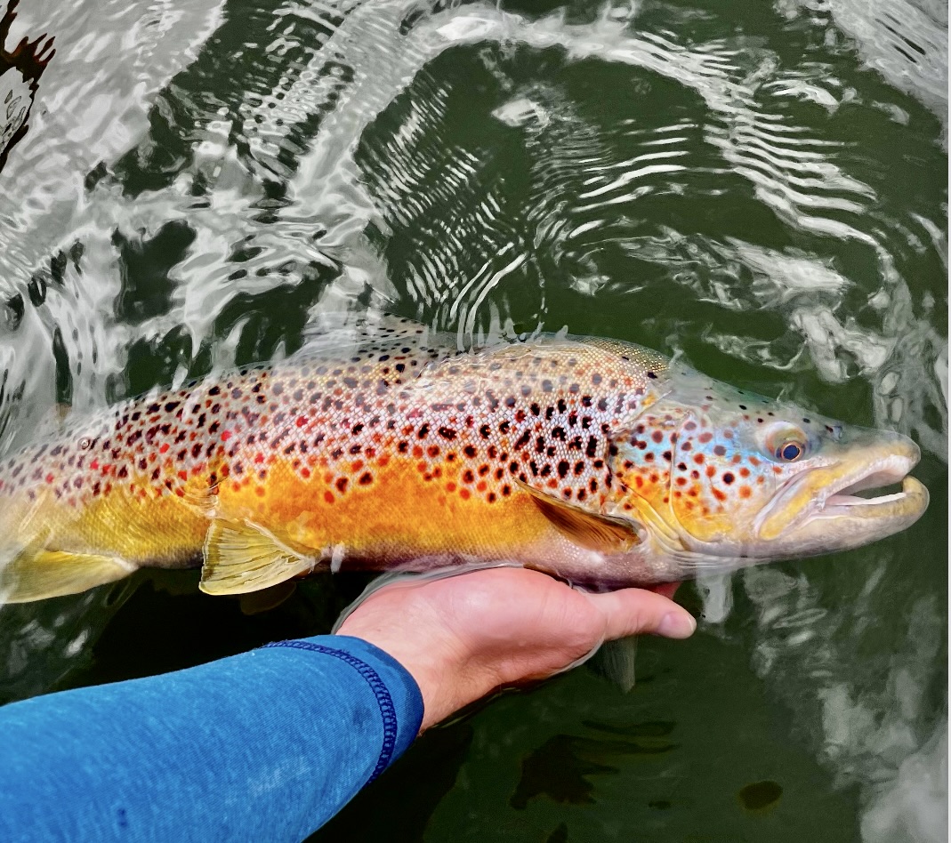 Streamer-Fishing-the-Land-of-Giants