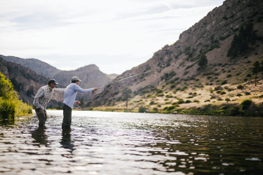dry fly fishing the Missouri River