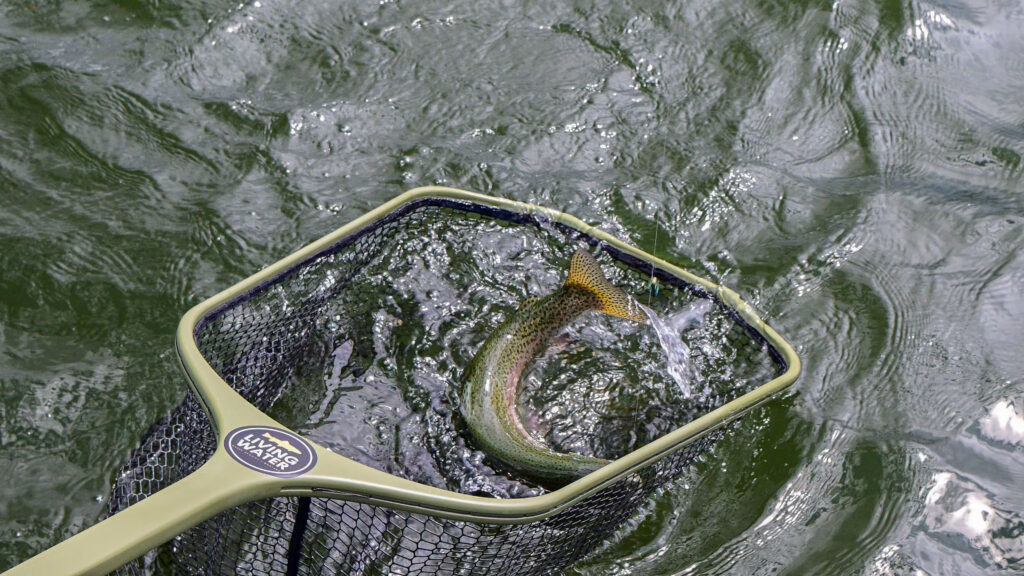 March fishing report - Missouri river