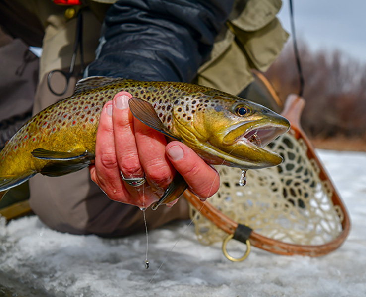 winter fishing the Missouri River