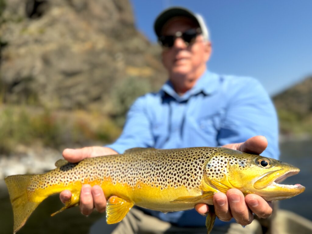 fishing below hauser dam