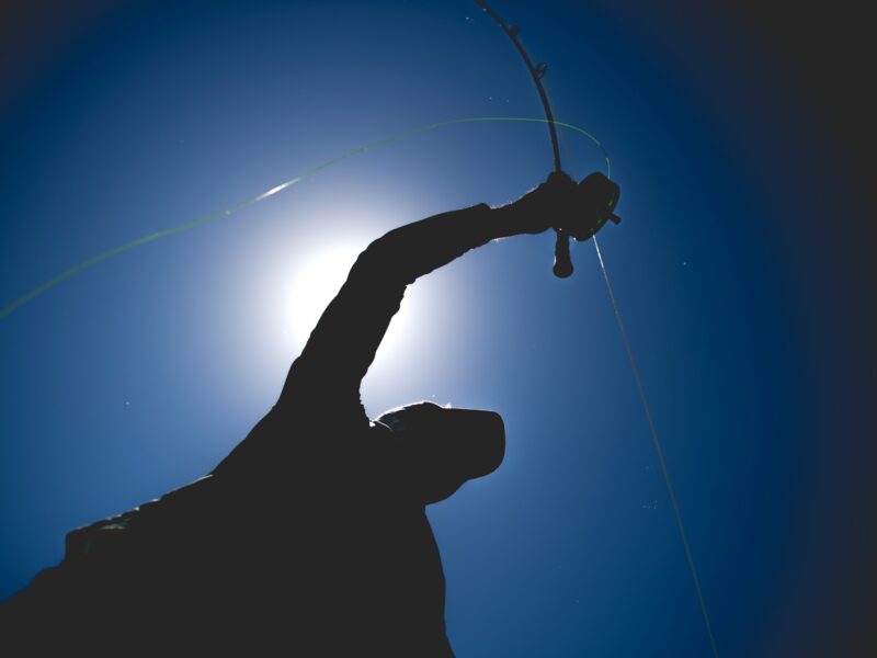 Tips for A Drag Free Drift Living Water Fly Fishing