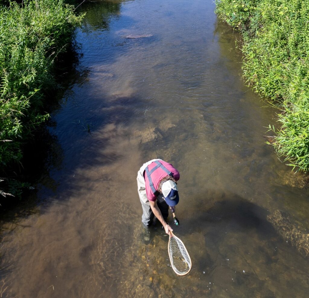 fly fishing the Gallatin river