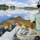 crayfish patterns for the missouri river
